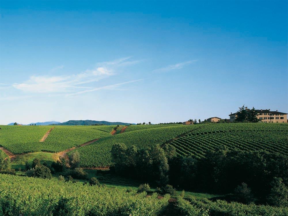 Agriturismo Tenuta La Marchesa ノーヴィ・リーグレ エクステリア 写真